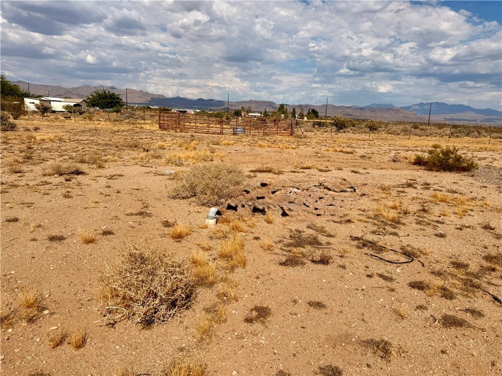 Picture 17