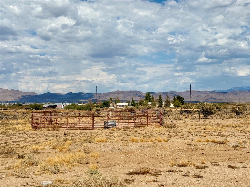 Picture 18