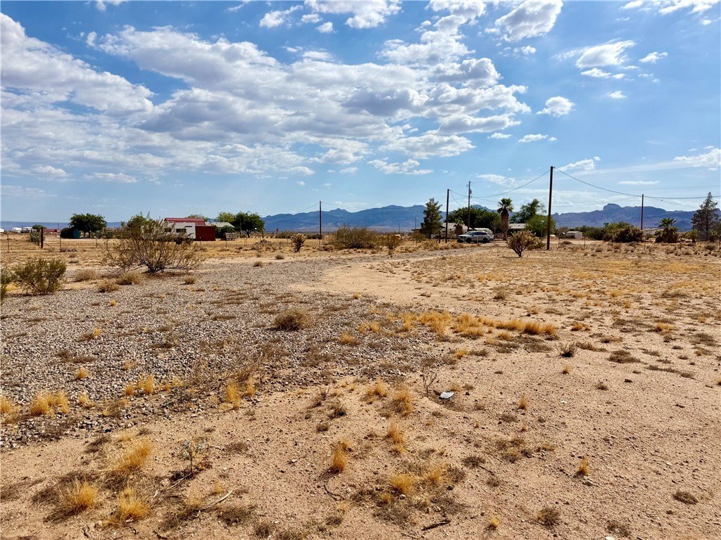 Picture 19
