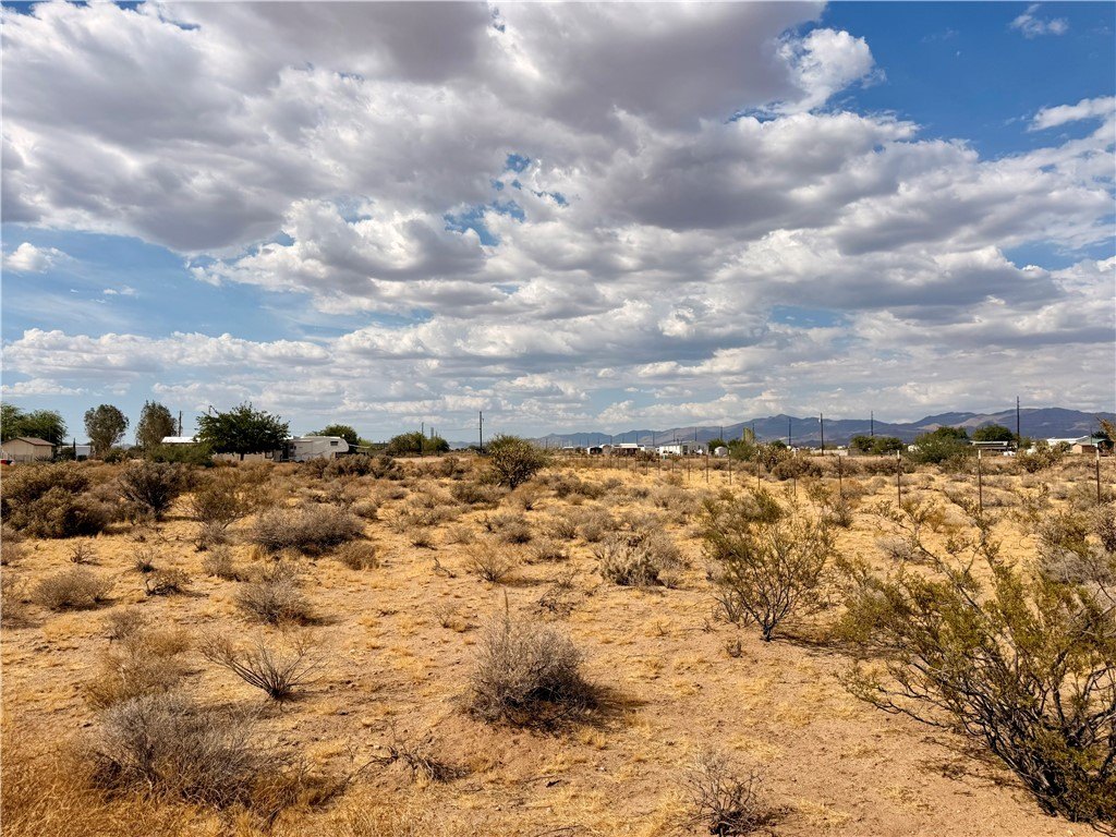 Picture 21