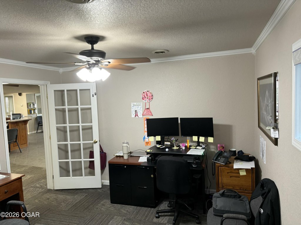 Picture 16