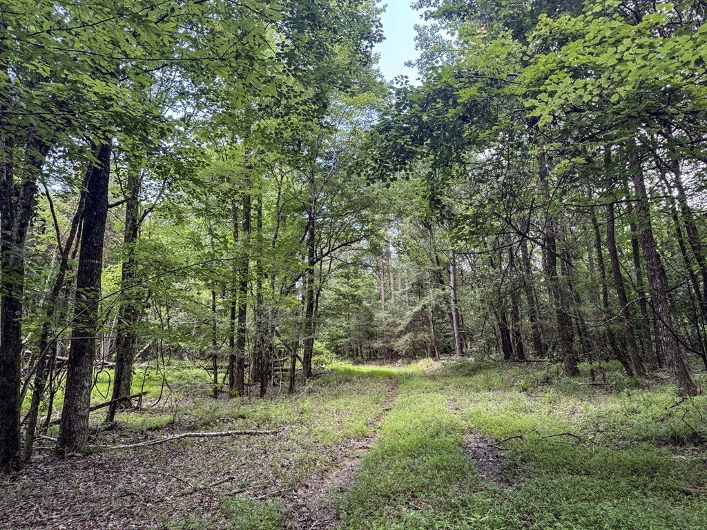 Picture 42