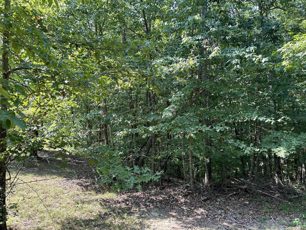 Picture 11