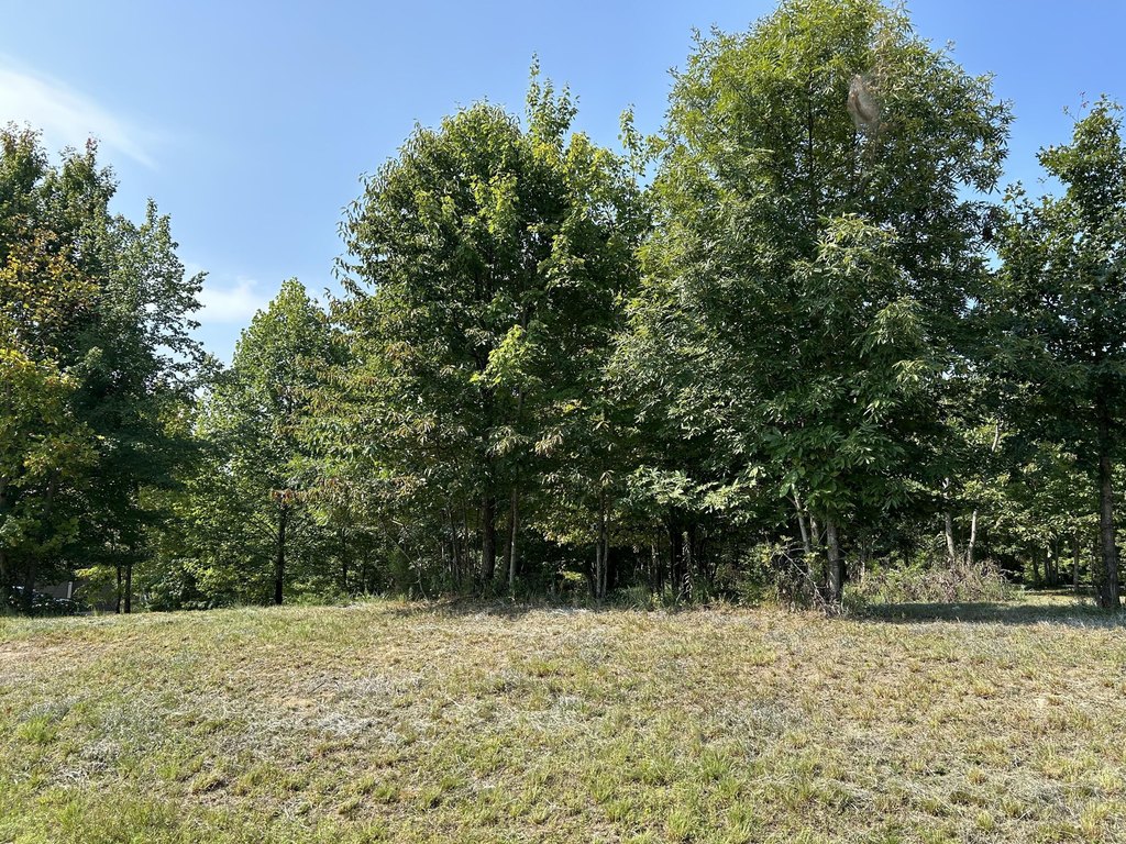 Picture 6