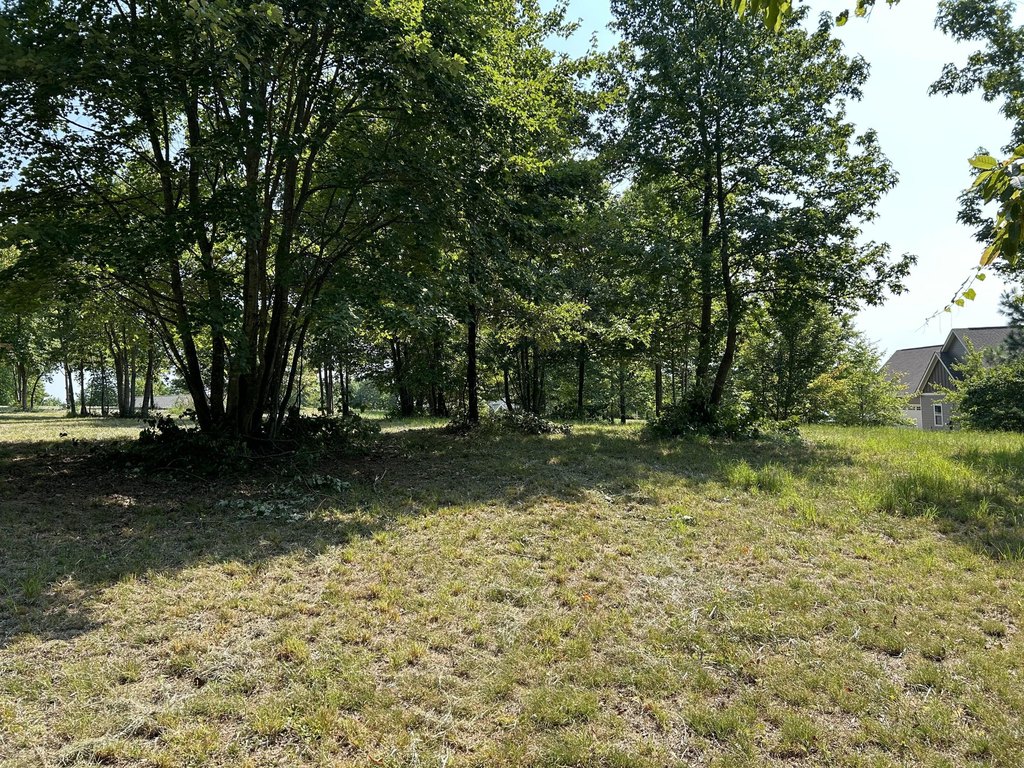 Picture 16