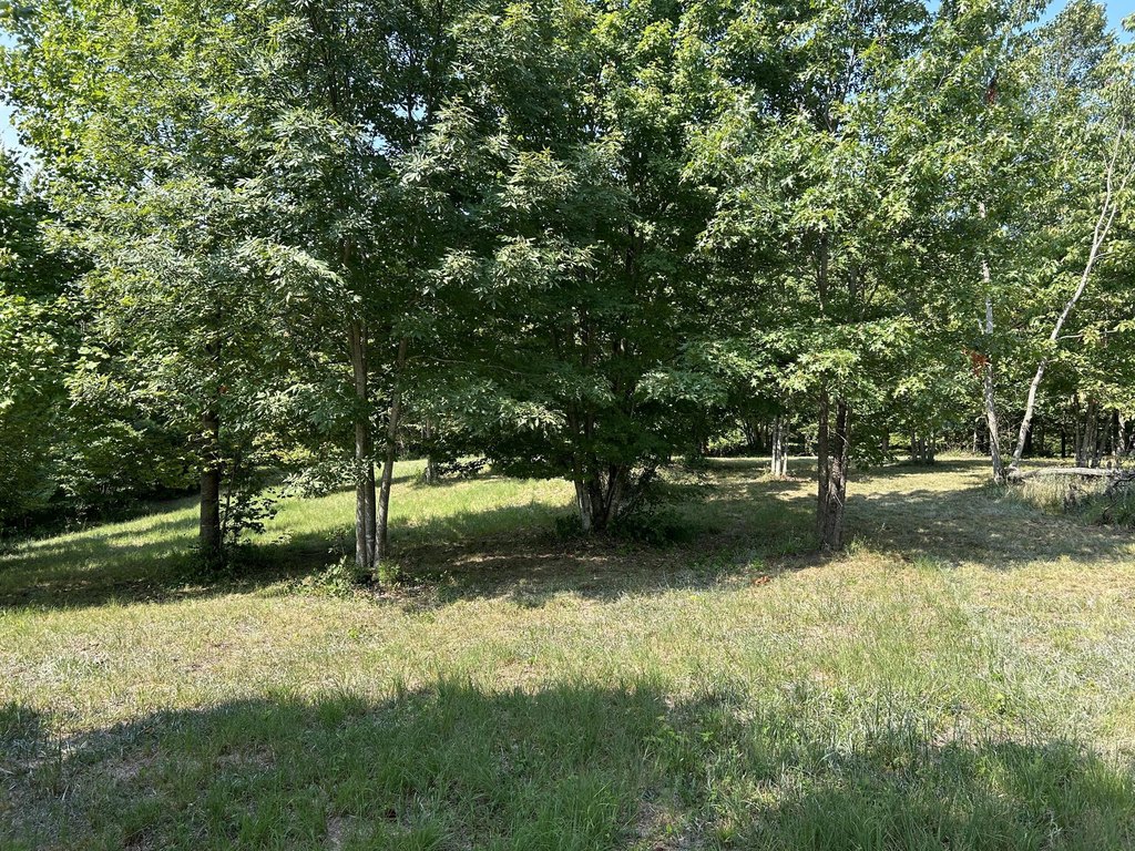 Picture 12