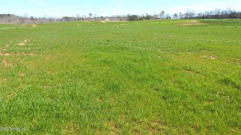 Gore Springs Land Near Grenada