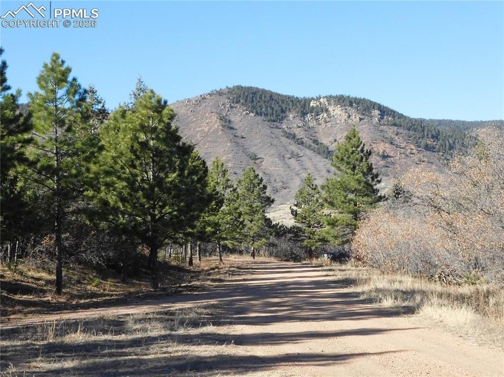 Larkspur Land with Red Rock