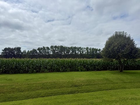 Cleared Lot in New Church