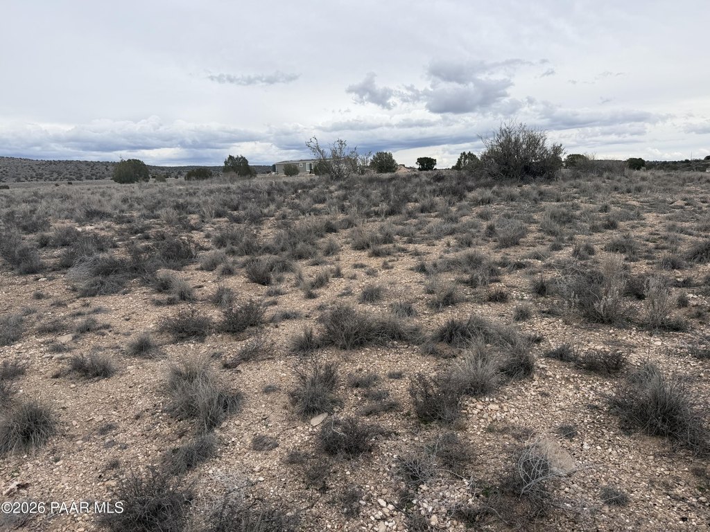 Picture 19