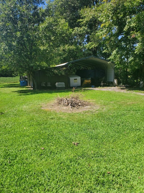 Picture 7
