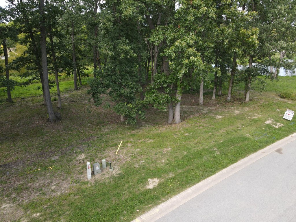 Picture 8