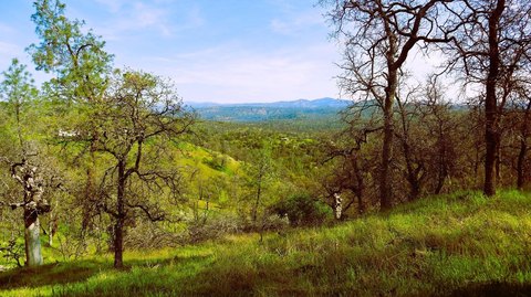 Land, Coarsegold, CA