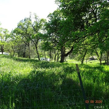 Residential Home Lot