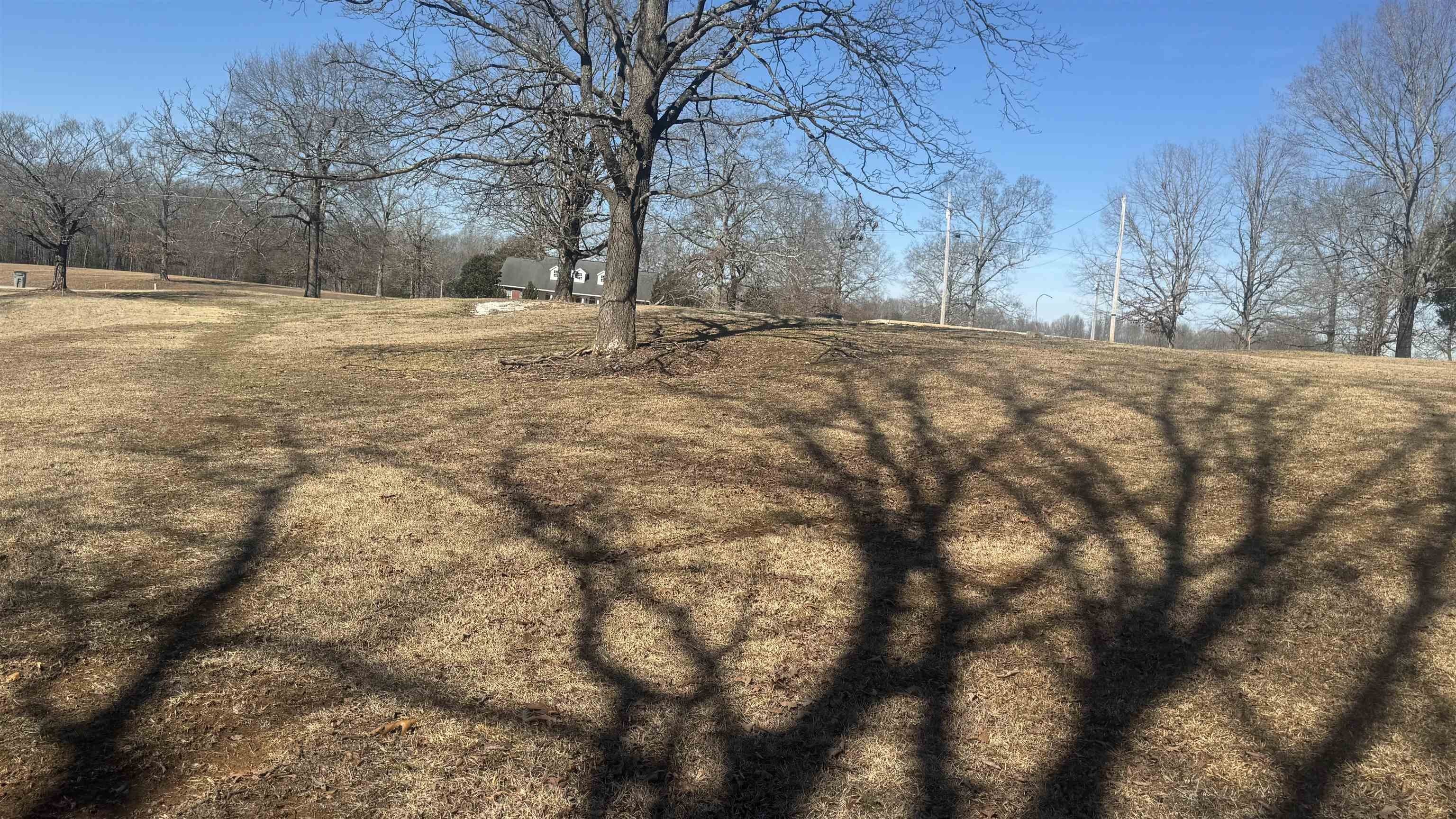 Residential Land in Killen, AL