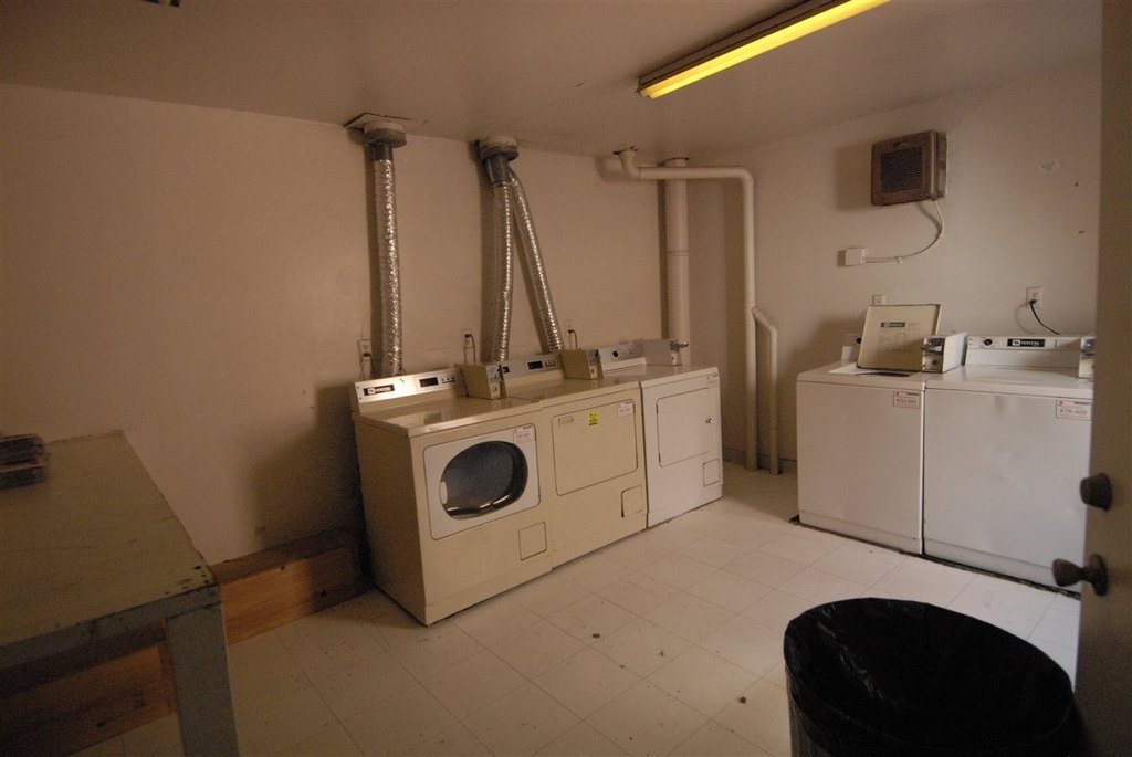Picture 27