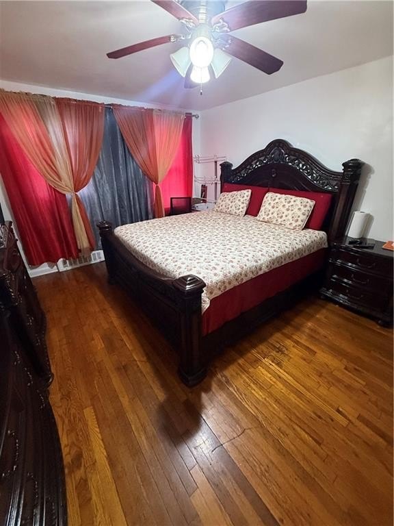 Picture 12