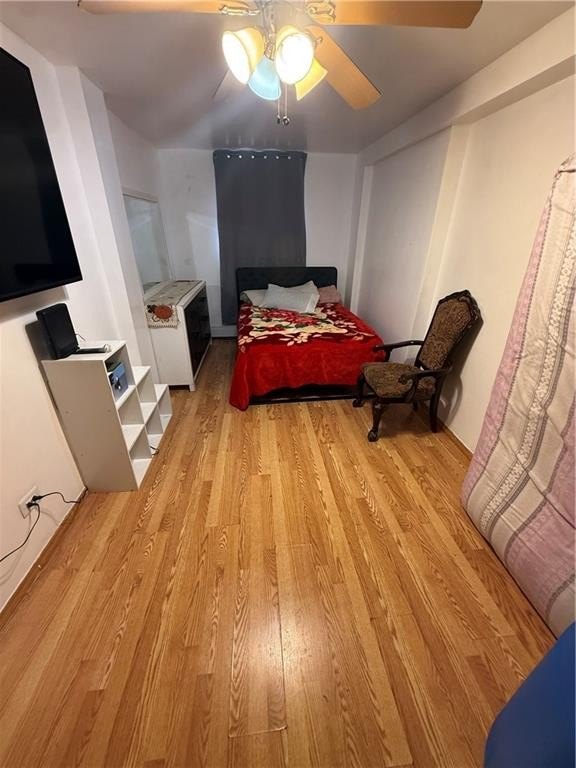 Picture 11