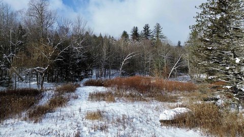 Residential Wooded Land Parcel