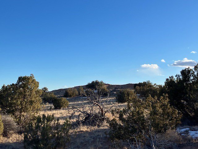 Picture 25