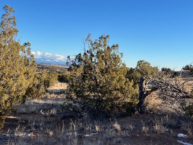 Picture 24