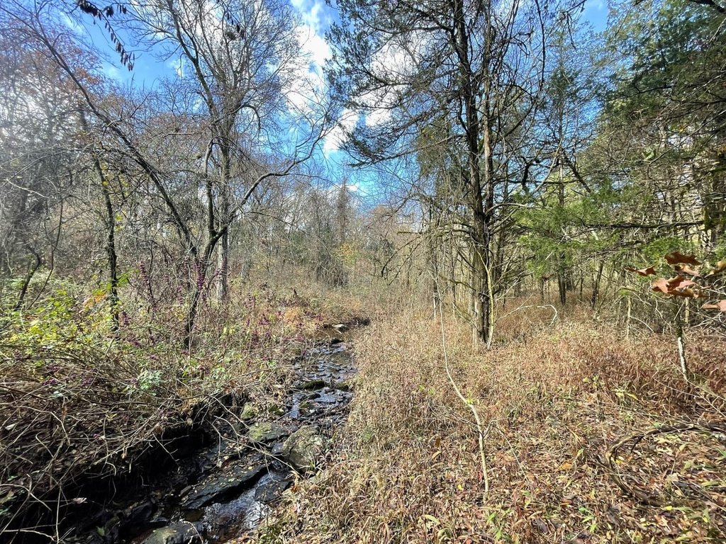 Picture 29
