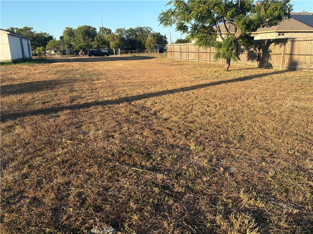 Picture 2