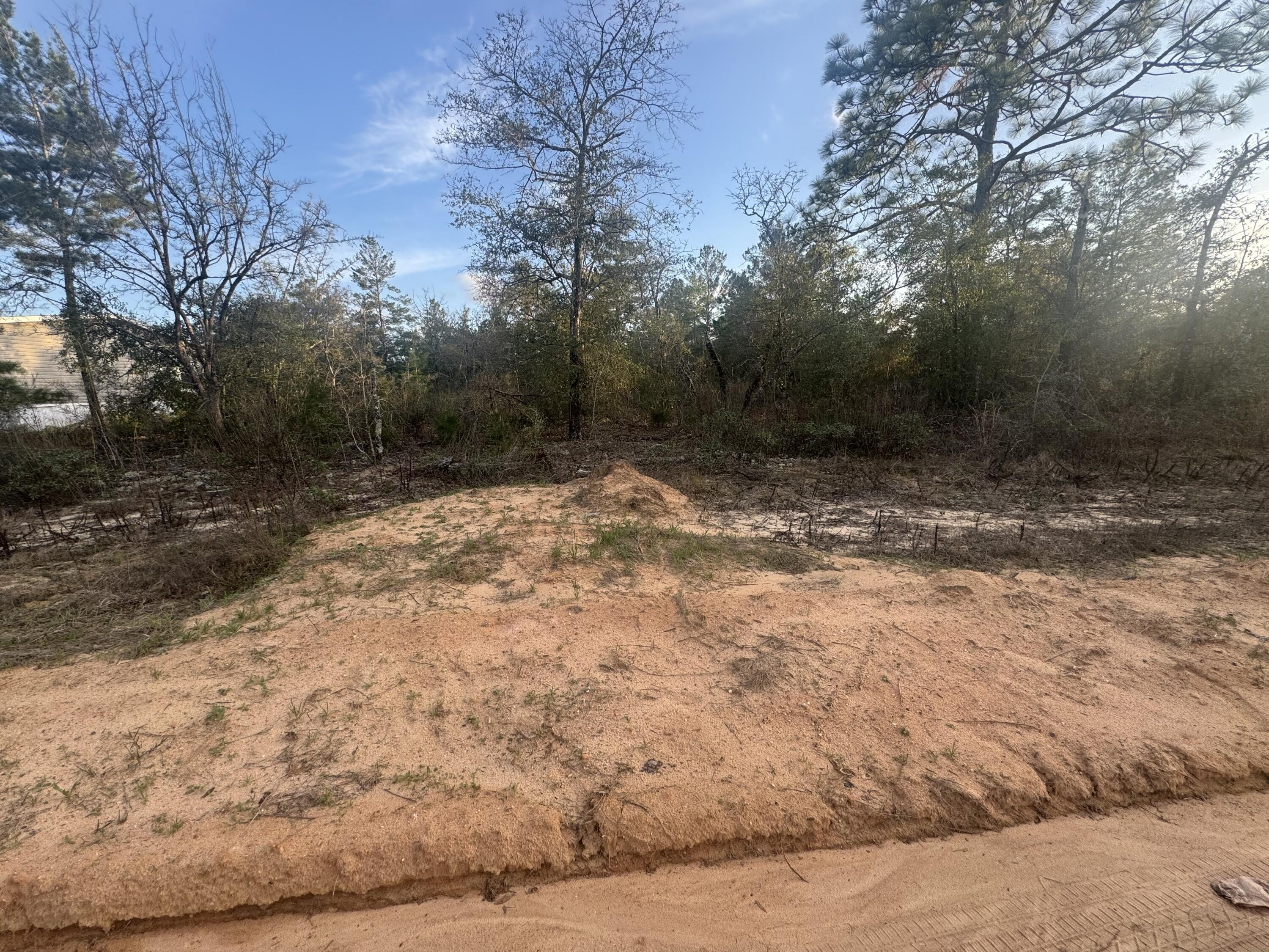 Vacant Lot in DeFuniak Springs