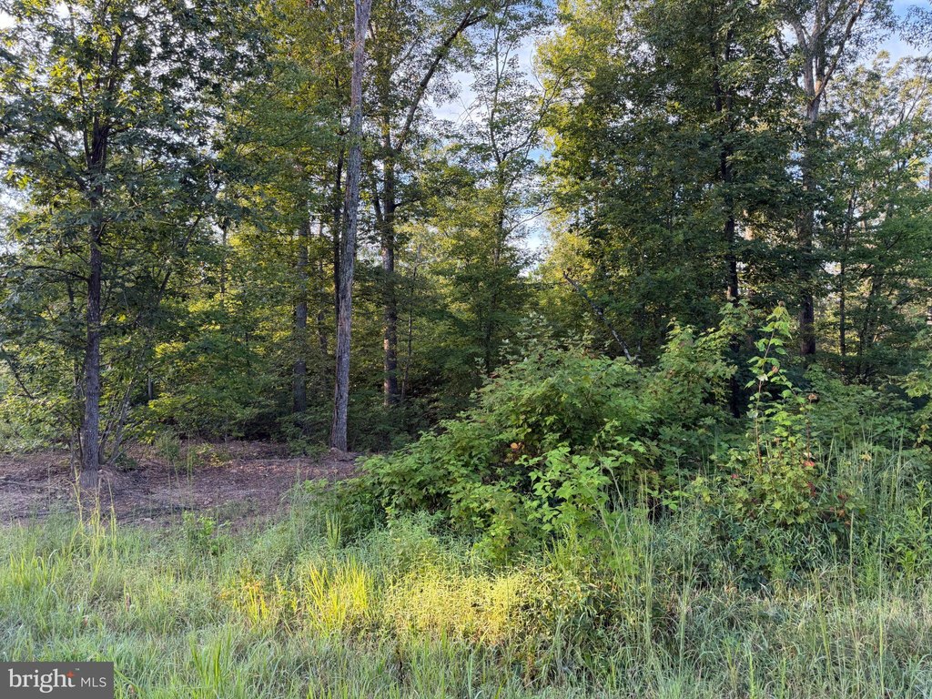 Picture 25
