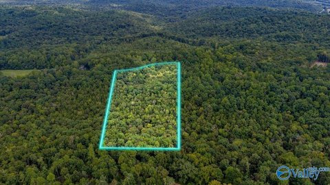 Land, Grant, AL