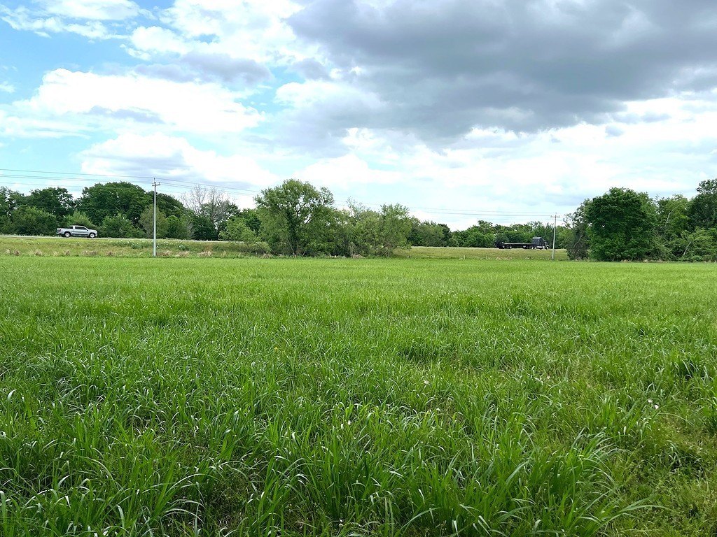 Picture 23