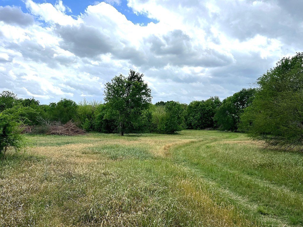 Picture 28