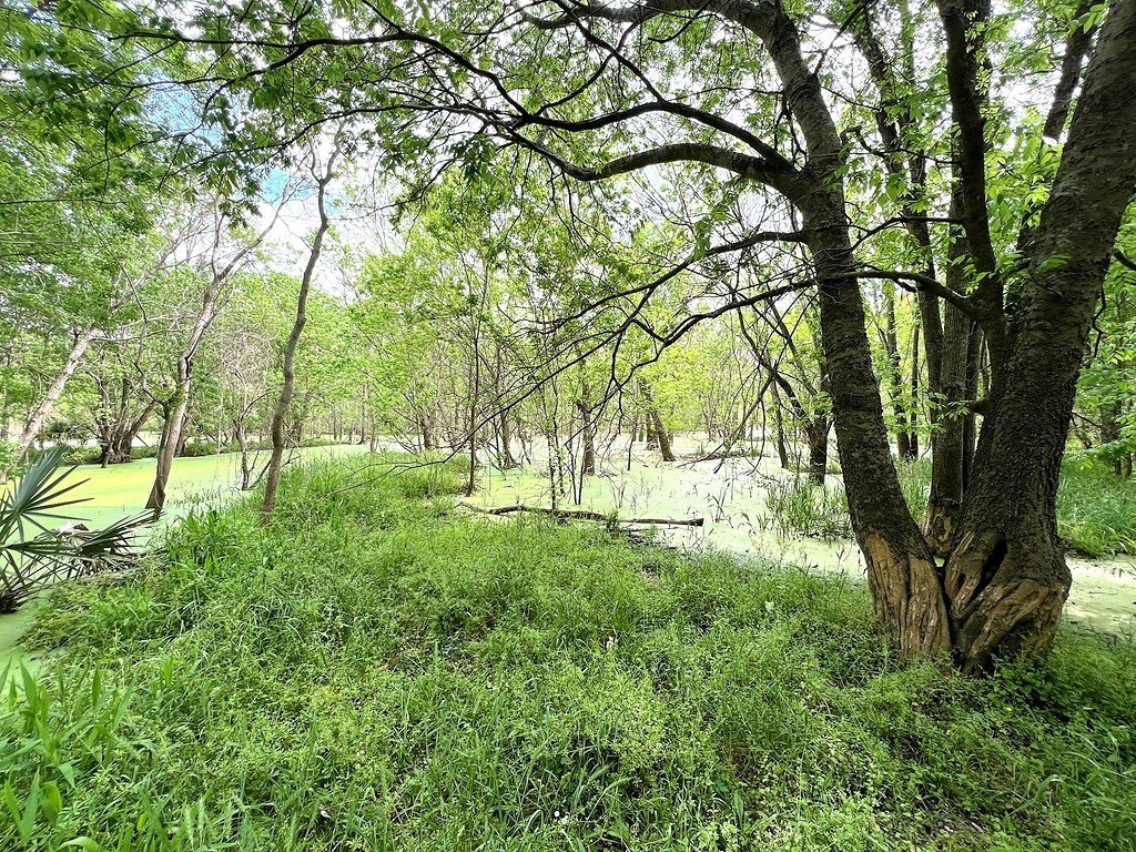 Picture 16