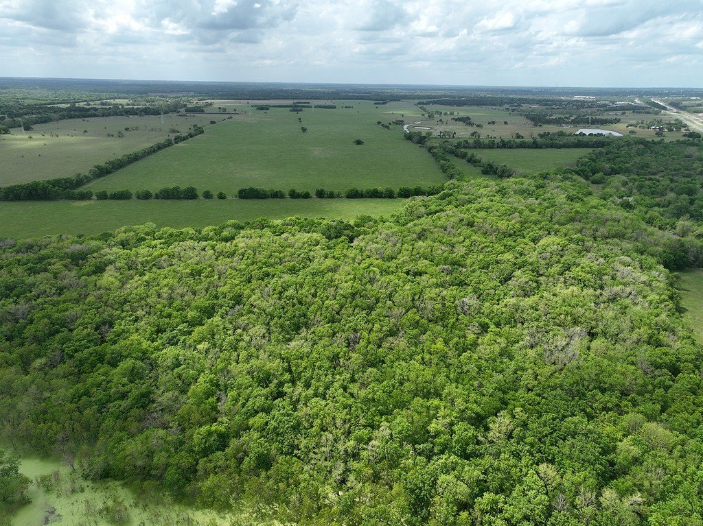 Picture 8