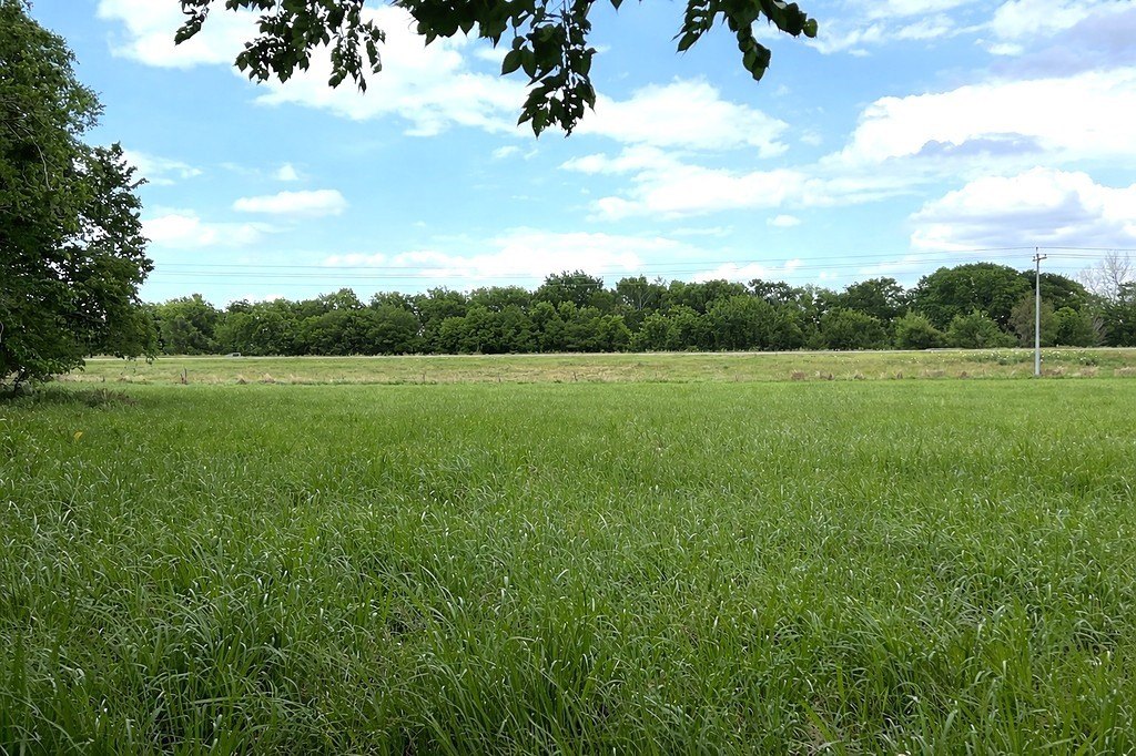 Picture 13