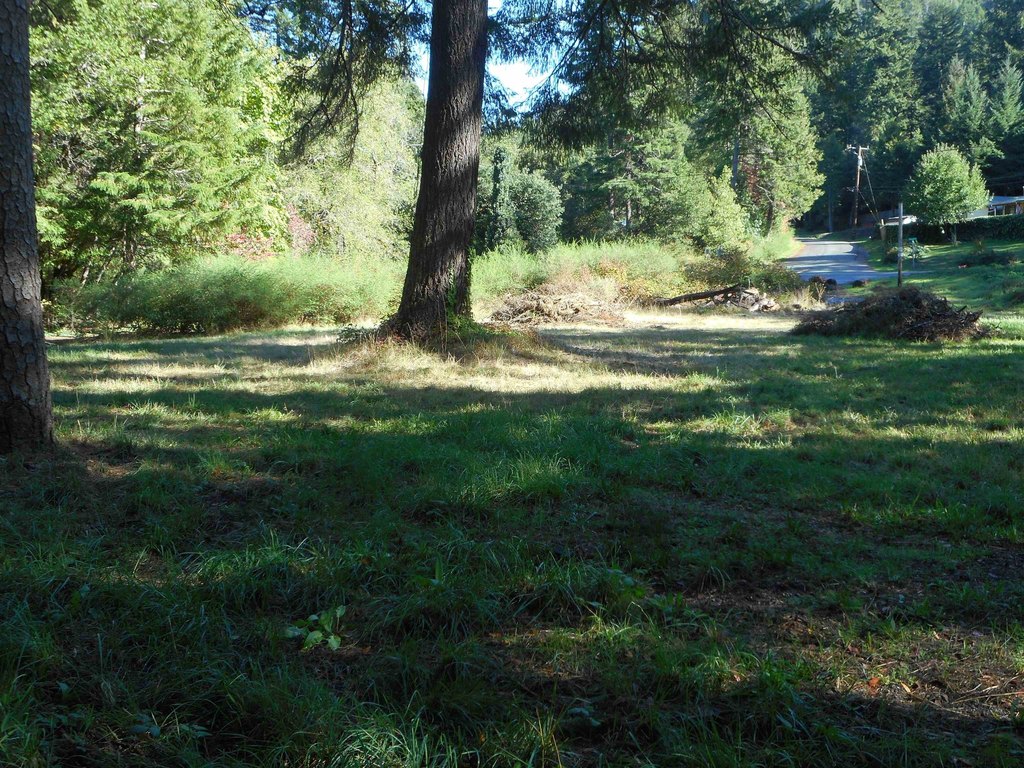 Picture 10