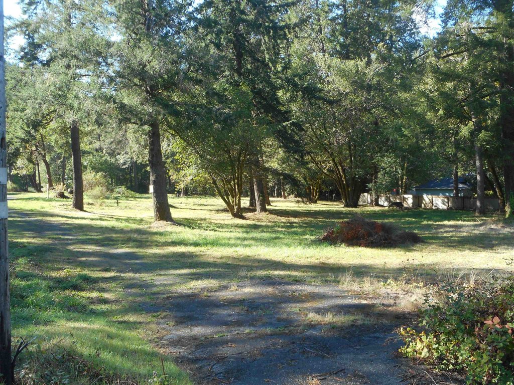 Picture 2