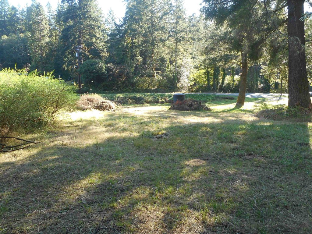 Picture 8