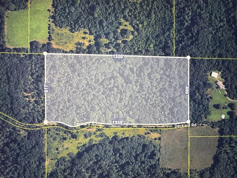 Land, Fordland, MO