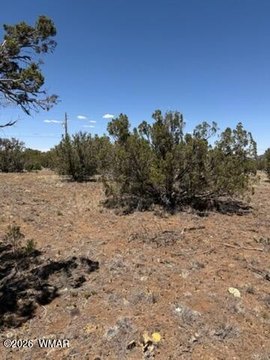 LAND - Show Low, AZ