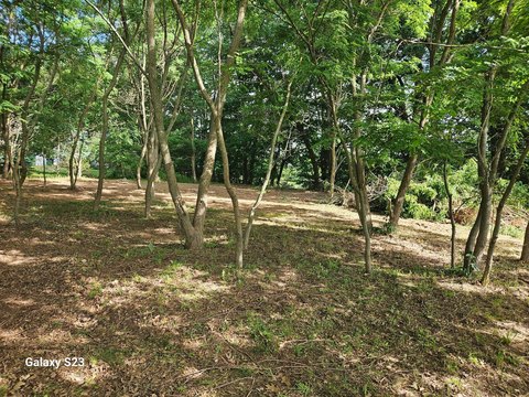 Lakefront Buildable Land Parcel