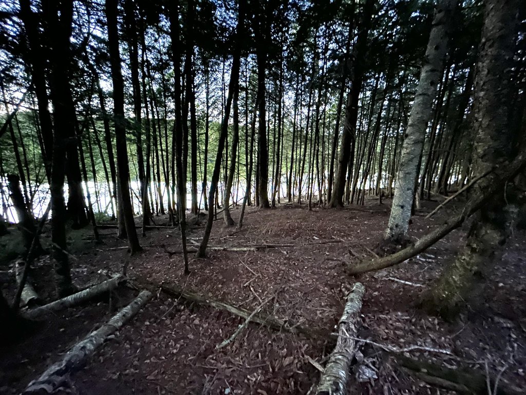 Picture 6