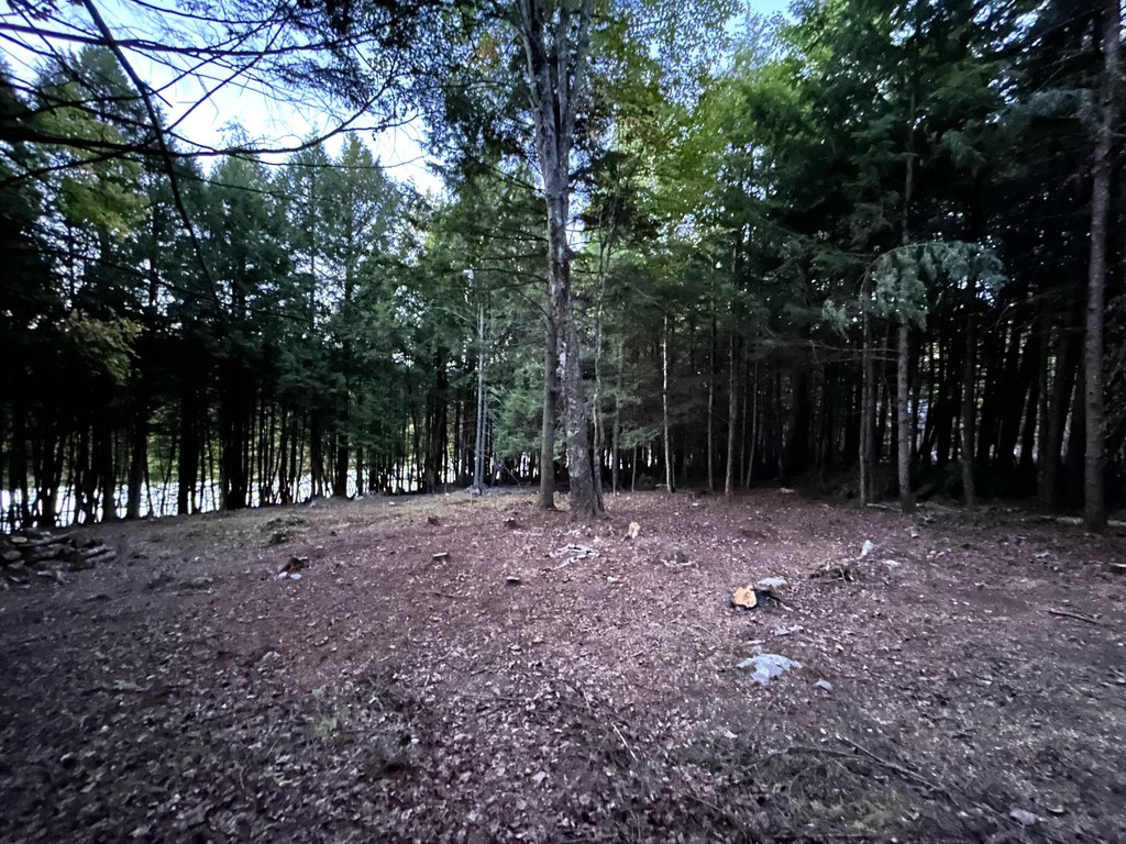 Picture 8