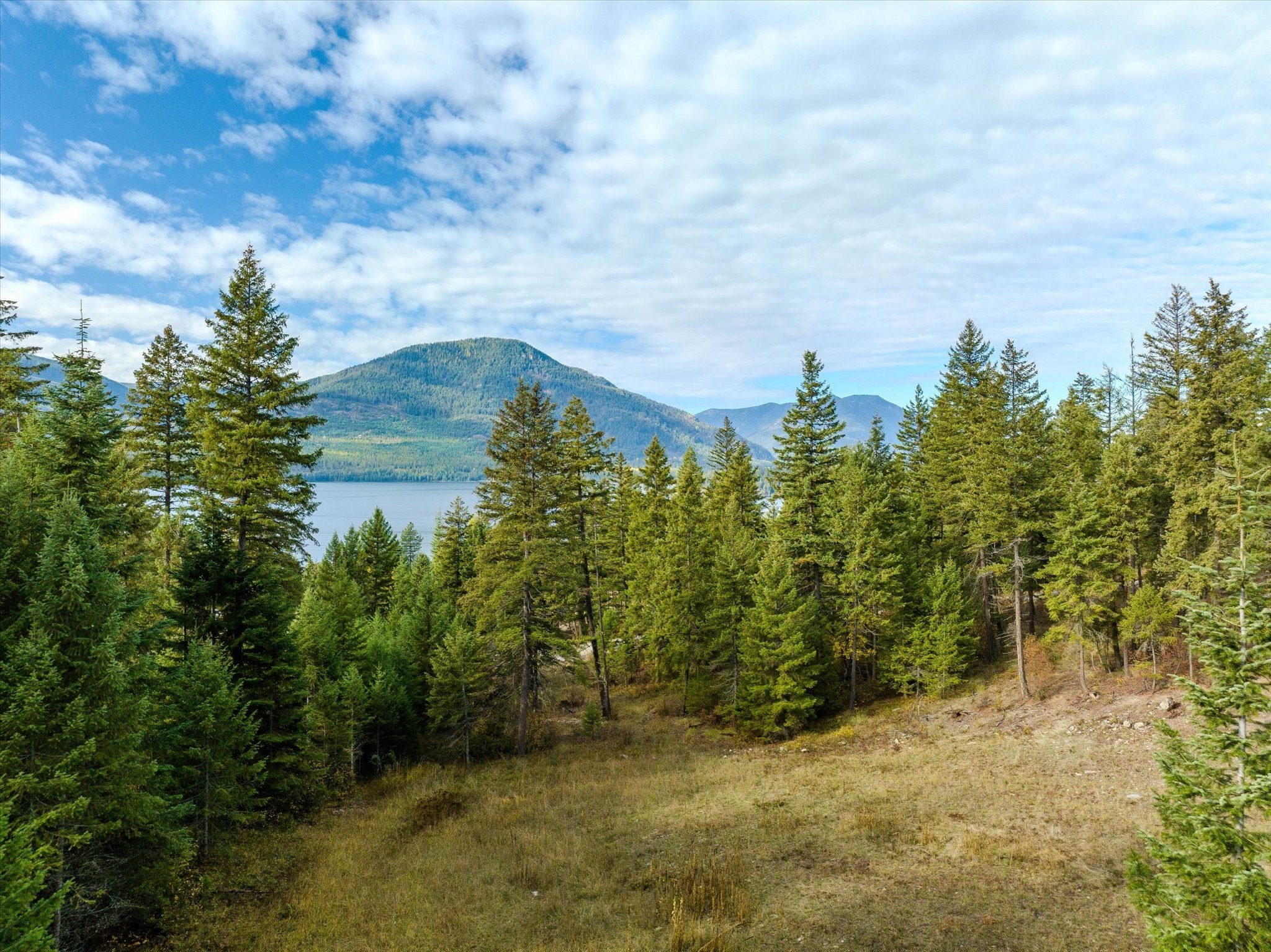 Noxon, MT Land with Views