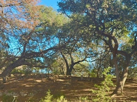 Scenic Lot in Twin Forks