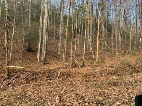 Unrestricted Land in Cherokee County