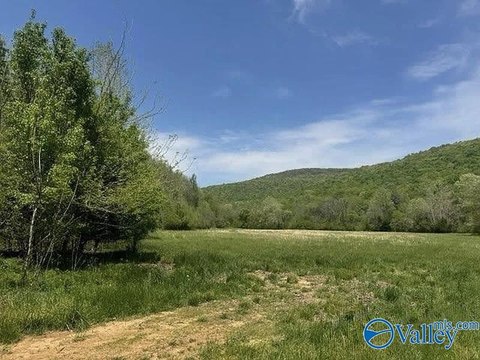 Hunting Land with Off-Road Trails