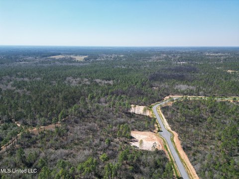 40-Acre Wooded Land in Kiln