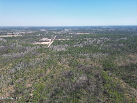 Kiln, MS Wooded Land