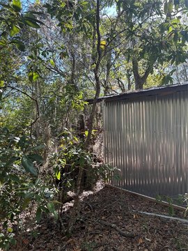 Island Land in Withlacoochee Basin